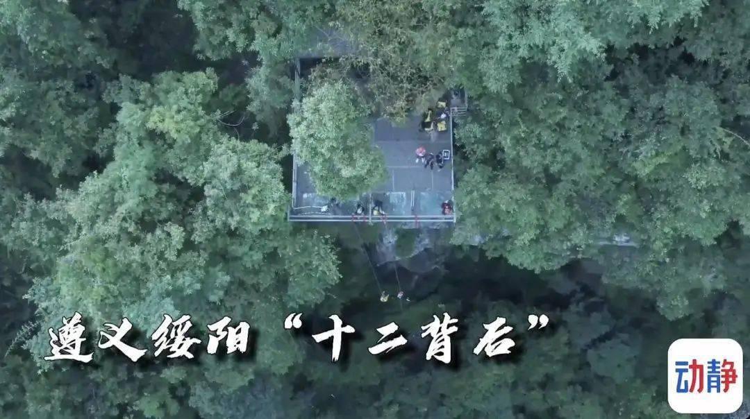 脑洞小老弟无实名认证